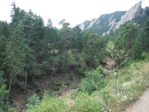 Flat Irons Ravine