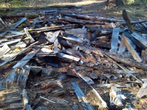 Bigfoot Trap Caretaker's Shack