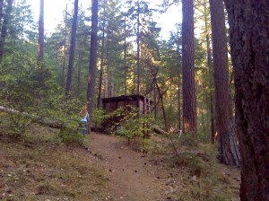 IMG_20141005_155206_485