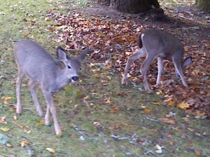 IMG_20141025_165436_310[1]