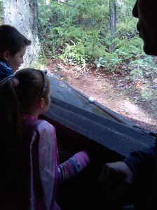 IMG_20141031_153230_564[1]