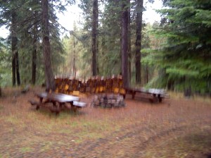 IMG_20141122_142836_176