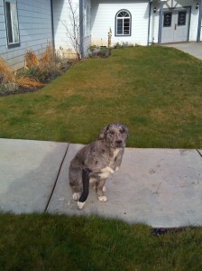 IMG_20141123_100348_470