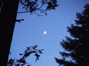 Day and night are the best ways to tell time, anyway.