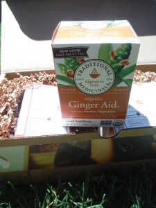 Ginger Aid Traditional Medicinals