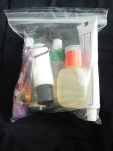 tsa quart liquid bag