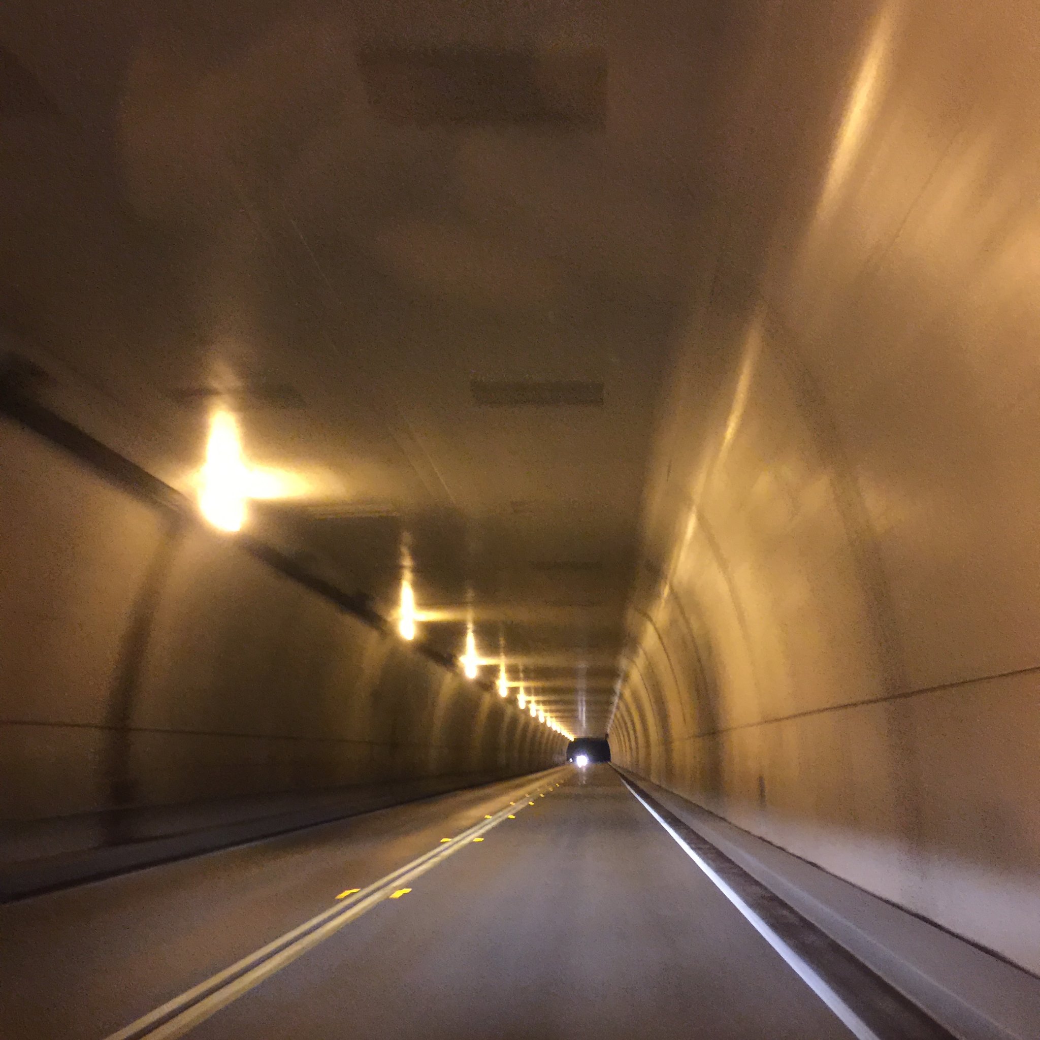 12029760_10154039339843783_3718692029023249501_o