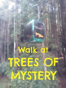 trees-of-mystery-walk