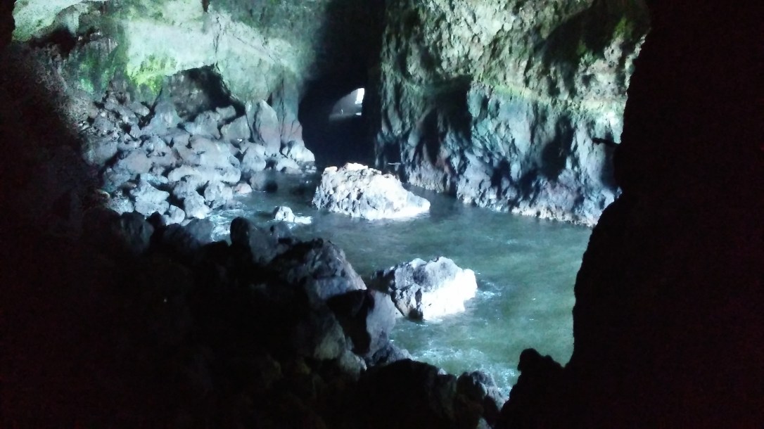 Sea Lion Cave