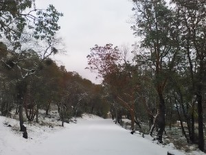 January 2017 snow