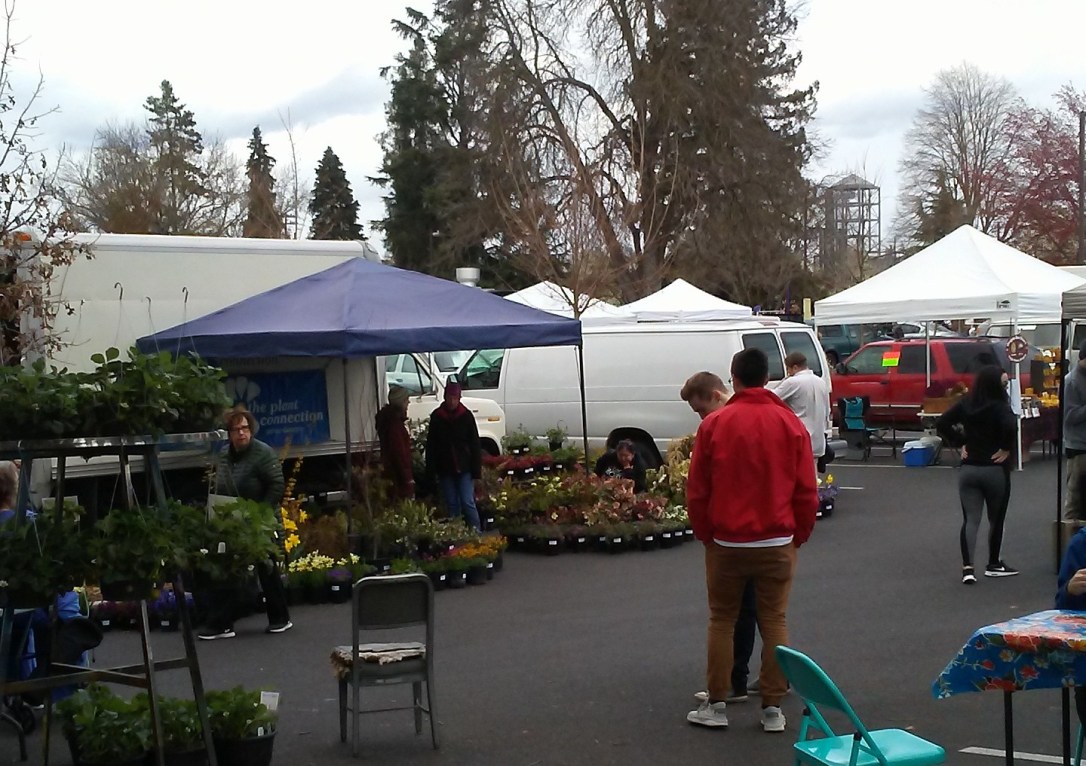 Medford Growers Market